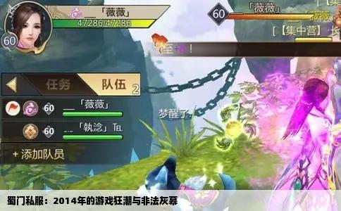 蜀门私服：2014年的游戏狂潮与非法灰幕