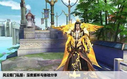 风云蜀门私服：深度解析与体验分享