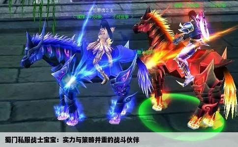 蜀门私服战士宝宝：实力与策略并重的战斗伙伴